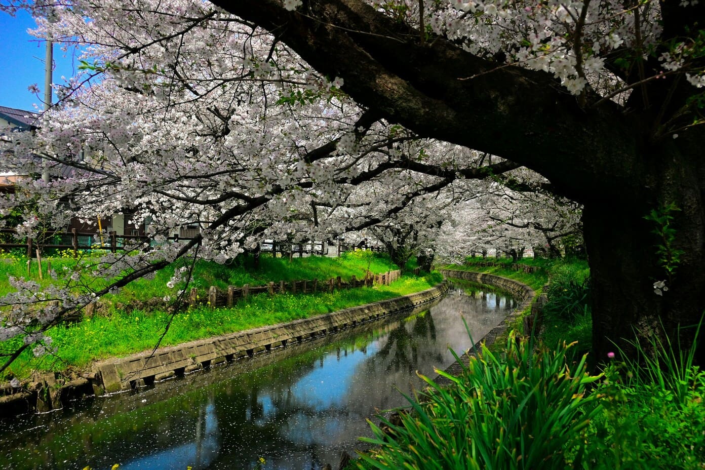 紅葉×温泉：秋に行きたい絶景露天風呂10選