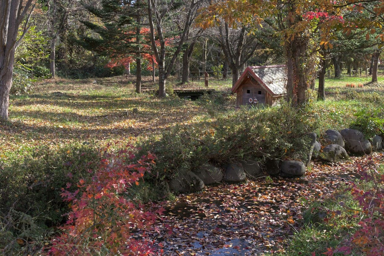 紅葉の絶景スポット完全ガイド：見頃カレンダーと穴場情報