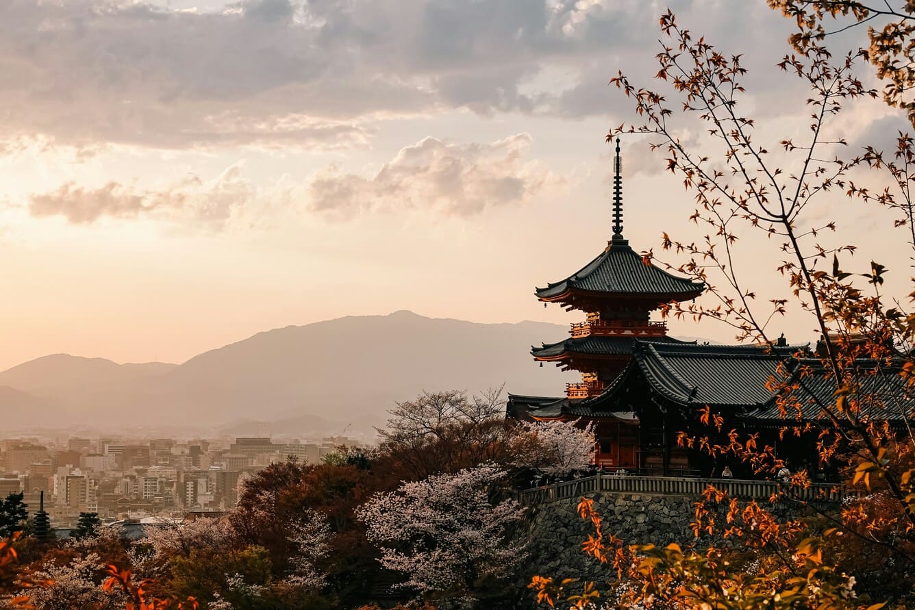 日本の桜名所ベスト10：地域別お花見完全ガイド