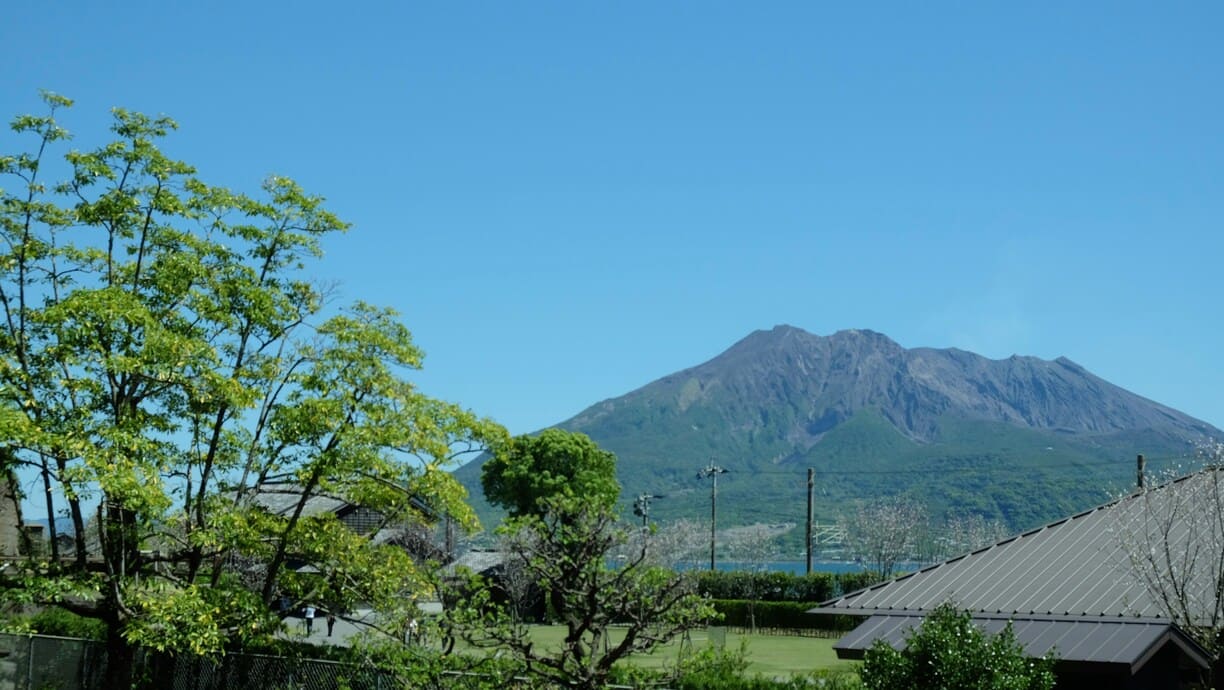 日本の花火大会ランキング：夏夜を彩る絶景花火スポット